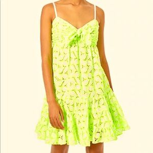 NWT LILLY PULITZER BRIANA FIT AND FLARE EYELET LACE GREEN DRESS sz 6 MSRP$218